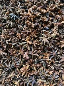 ขายดี โป๊ยกั๊กเวียดนาม แห้งธรรมชาติ โป๊ยกั๊กทั้งลูก โรงงานผลิต ส่งออก ขายส่ง เครื่องเทศ - Product Image 4