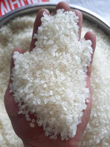 ข้าวคาลโรส เมล็ดกลาง ข้าวขาวเมล็ดสั้น ขายส่ง สำหรับตลาดตะวันออกกลางและอเมริกา (WA 0084 989 322 607) - Product Image 6