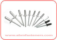 Rivet automatique faisant la machine/rivet de bruit faisant la machine/rivet aveugle - Product Image 2