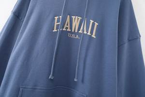 Venta al por mayor de moda de talla grande ocio cuello solapa manga larga pulóver transpirable sudaderas con capucha térmicas - Product Image 4