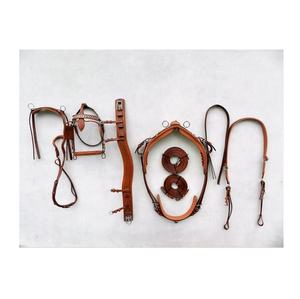 Matériel et équipement de conduite en cuir noir DD avec ensemble de harnais de pectoral de cheval à boucles SS - Product Image 3