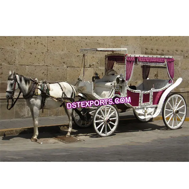Tempat Tur Kereta Kuda Victoria Pernikahan Asia Selatan Kereta Kuda Tur Victorian Modis
