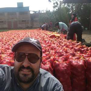 Meilleur prix d'aujourd'hui pour IC Onion en Egypte - Product Image 3