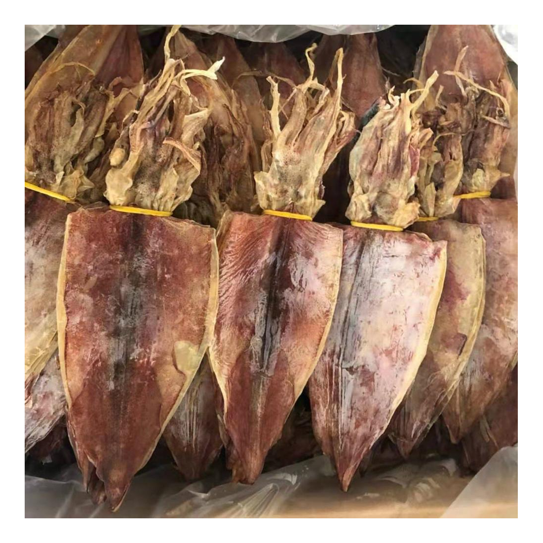 Высококачественный сушеный кальмар, свежемолотый из моря