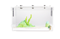 Nouvelle promotion : cage de transport pour reptiles en plastique écologique de petite taille