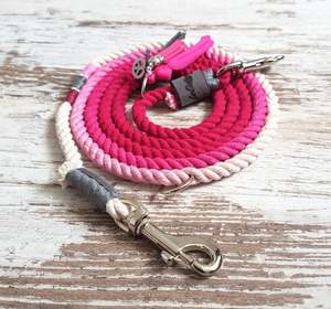 เชือกสำหรับวันพิเศษสำหรับสุนัขของคุณสายจูงสุนัขสีชมพูออมเบร - Product Image 1