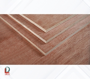Vietnam plywood bintangor commercial plywood cheap plywood - Product Image 1