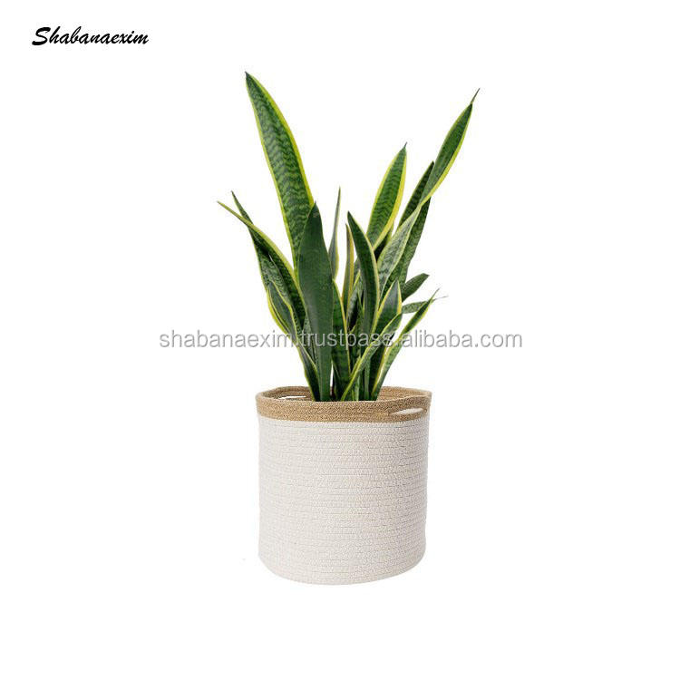 ตามใบสั่งซื้อ