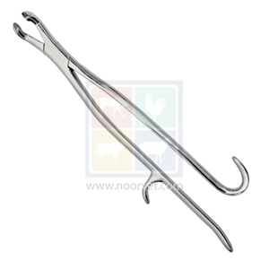 Reynolds Universal Stainless Steel Forceps <b>Veterinary</b> <b>Instrument</b> for Equine Dental Care Extraction - Product Image 1