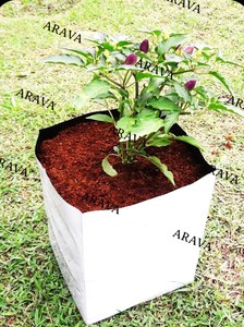 Substrat de coco lavé et tamponné, support de culture idéal pour la culture hydroponique, l'intérieur et l'agriculture commerciale - Product Image 5