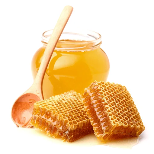 High Quality Organic Wild Honey