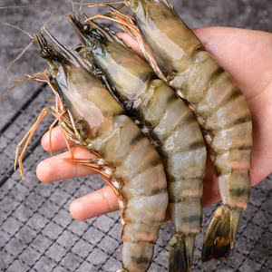 Tasty Shrimp U15 In A Large Number Of Varieties Low Moq New Packaging Alibaba Com Tasty Shrimp U15 In A Large Number Of Varieties Low Moq New Packaging Alibaba Com