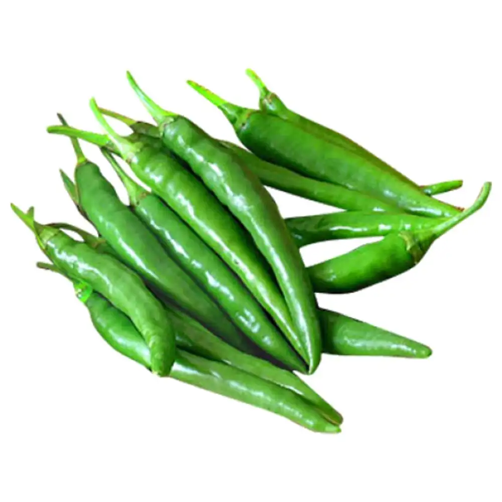 100% Fresh Indian Green Chilli Vegetable Top Selling Food Grade Spicy Green Chillie / Dehydrated Fresh Green Chilli