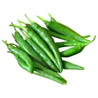 Piment vert 20g frais indien, légumes, meilleur vente, qualité alimentaire, piment vert épicé/hydratant, 100%
