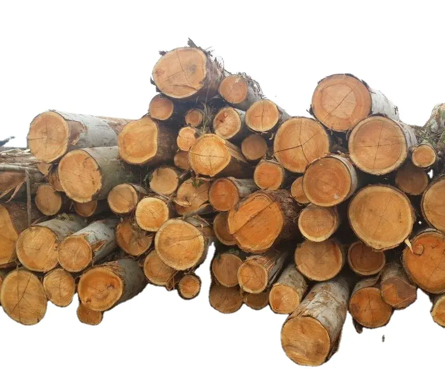 100% Natural Eucalyptus Wood logs