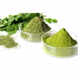 Produk India Bubuk Daun Moringa Kualitas Tinggi Suplemen Protein Kalsium Manfaat Kesehatan Produk Herbal Pasokan Massal