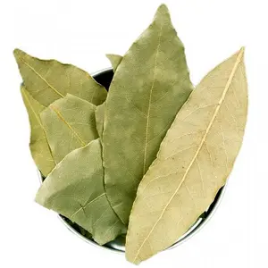 Bay / Bay Leaf Oil (Pimento Racemosa) Trusted Bay Oil supplier from India