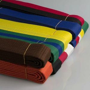 เข็มขัดปักลายสีดำสำหรับศิลปะการต่อสู้เข็มขัดยูโดคาราเต้เทควันโดสำหรับผู้ใหญ่ - Product Image 5