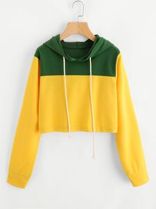 Sweat à capuche en coton d'été décontracté pour femmes 100% coton manches longues imprimé doublure en coton bloc de couleur courte longueur à capuche - Product Image 2