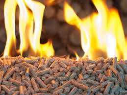 Granulés de riz husck, g - Product Image 4