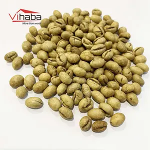 Natural Arbica Coffee Vietnamese High Quality Robusta Coffee Beans For Sale Commercial Espresso Coffee Machine