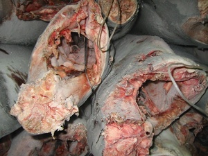 El arroz es muy bonito, El itaminas se encuentra en el eawood, Rozen tripe Arlin - Product Image 5