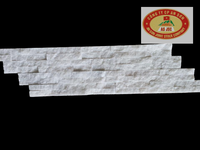 Panneau de pierre de marbre de calcite 100 % naturelle à face fendue, coupé sur mesure, design moderne, garantie à vie, application extérieure