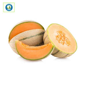 Huge Demand Top Selling Musk Melon Essential Oil at Least Price - Product Image 1