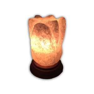 Eleve el Ambiente de Su Espacio con la Lámpara de Tulipán de Sal del Himalaya Tallada de Primera Calidad de Sian Enterprises - Product Image 5