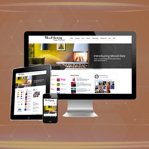 Website in PHP Technology | Hire PHP developers | Award Winning PHP Website & Web App Development Services by Webroot Infosoft - Product Image 3