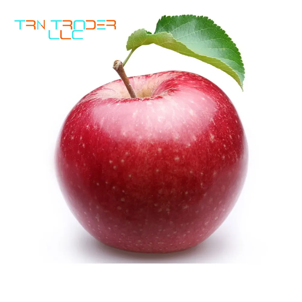 Factory New Arrival Delicious Red Apple on Sale for Export