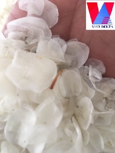 ขนาดการส่งออกปลาจากเวียดนาม/อาหารทำงาน.Ms. KIO hyunh + 84 34 375 8904 - Product Image 3