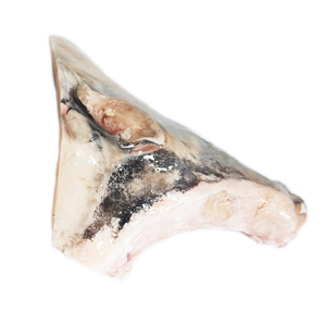 Larhueso de pez espada Natural nutritivo, bajo en grasa, certificación GMP, de la Costa de Marfil del Océano Indio - Product Image 6