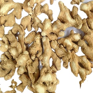 Tranches de gingembre de haute pureté déshydratées, tranches de gingembre séché premium, gingembre séché naturellement au soleil pour l'industrie alimentaire et l'exportation. - Product Image 4