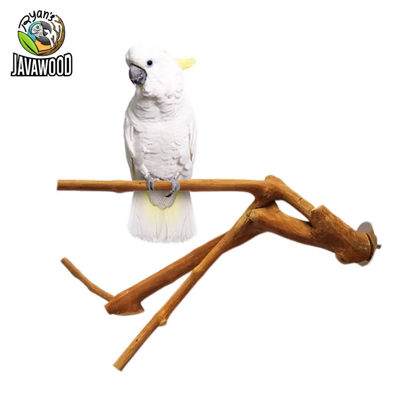 Java wood parrot v trespolo cage play stand and play gym in legno di alta qualità per posatoi per uccelli dall'indonesia