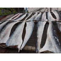 Pelle di Salmone Essiccata IQF Congelata a Basso Contenuto di Sale, Alta Qualità, Pezzi Grandi per il Mercato Vietnamita //NICKY