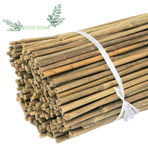 Palo de bambú natural y sostenible para jardín/planta de soporte de palo de bambú para usar en la agricultura fabricado en Eco2goVietnam - Product Image 2