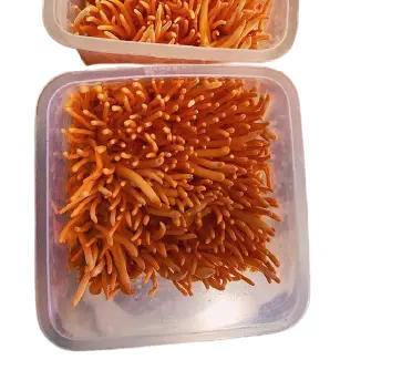 Manufacturer Subtainable Quality Dried Fungus Cultivated Cordyceps Militaris