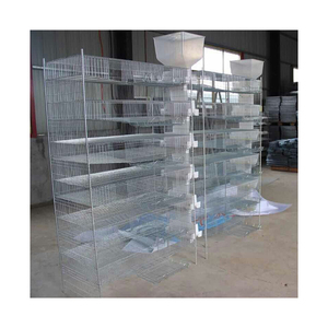 Kümes hayvanları yetiştirme ekipmanları a tipi manuel bıldırcın kafes çiftlikleri düşük yumurta kırık oranı galvanizli tel 360 bıldırcın MT grup sağlanan - Product Image 4