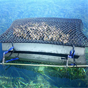 Bolsas de alta calidad para mantener los <span class=keywords><strong>cangrejos</strong></span> de <span class=keywords><strong>herradura</strong></span> - Product Image 2