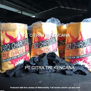Máquina para hacer carbón vegetal BIOCHAR CARBÓN DE MADERA NATURAL CARBÓN BASADO EN MANZANA INDUSTRIAL BEST SELLER en Hepo CHINA - Product Image 2