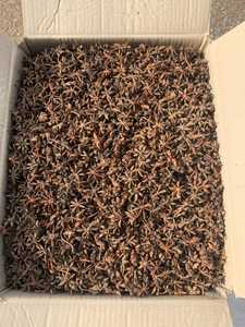 Nueva temporada de cosecha 2025 Super barato Vietnam Anís estrellado Especias y hierbas individuales Buenos precios Ingredientes alimentarios - Product Image 4