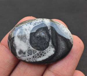Zebra พลอยแอควอตซ์ Cabochon Zebra,พลอยทรงหลวมแบบพลอยควอตซ์ Cabochon แบบม้าลาย - Product Image 1
