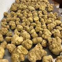 Fresh White Truffles, Italy Origin, Quality Mushrooms