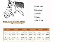 Bridon et rênes d'endurance anglais pour chevaux, en PVC Biothene rembourré, haute qualité, durables, couleurs et logo personnalisables, fabrication équestre