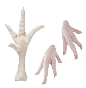 Frozen Chicken Paws / Chicken Feet / Chicken Mid Joint Wings Discounted Price Offer