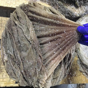 Ombrage de bœuf bouclée, résiste à la chaleur - Product Image 2