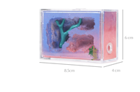 Empire of Ants Mini Taille 8.5X4X6cm Maison pour fourmis classique en plastique écologique Morning Feeling Utilisation quotidienne toutes saisons