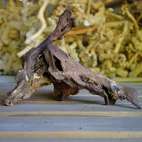 Niche pour reptiles antique en bois de rose (bois de Java) massif, motif naturel, écologique, pour usage intérieur et extérieur, cage pour reptiles