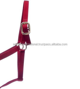 Halter hecho de nailon alto, con accesorios de acero inoxidable, completamente ajustables - Product Image 3